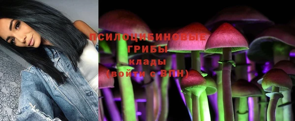 бутират Билибино