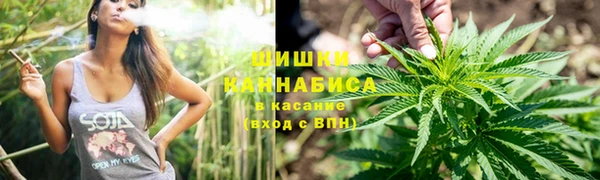 СК Белокуриха